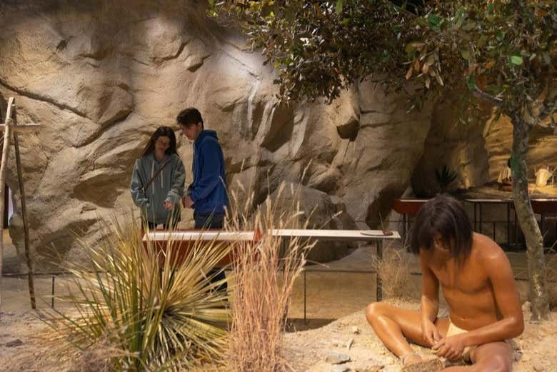 Witte Museum