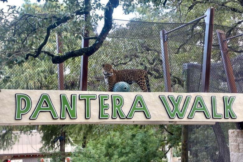 San Antonio Zoo
