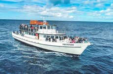 Avistamiento de ballenas en San Diego