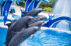 Entrada a SeaWorld San Diego