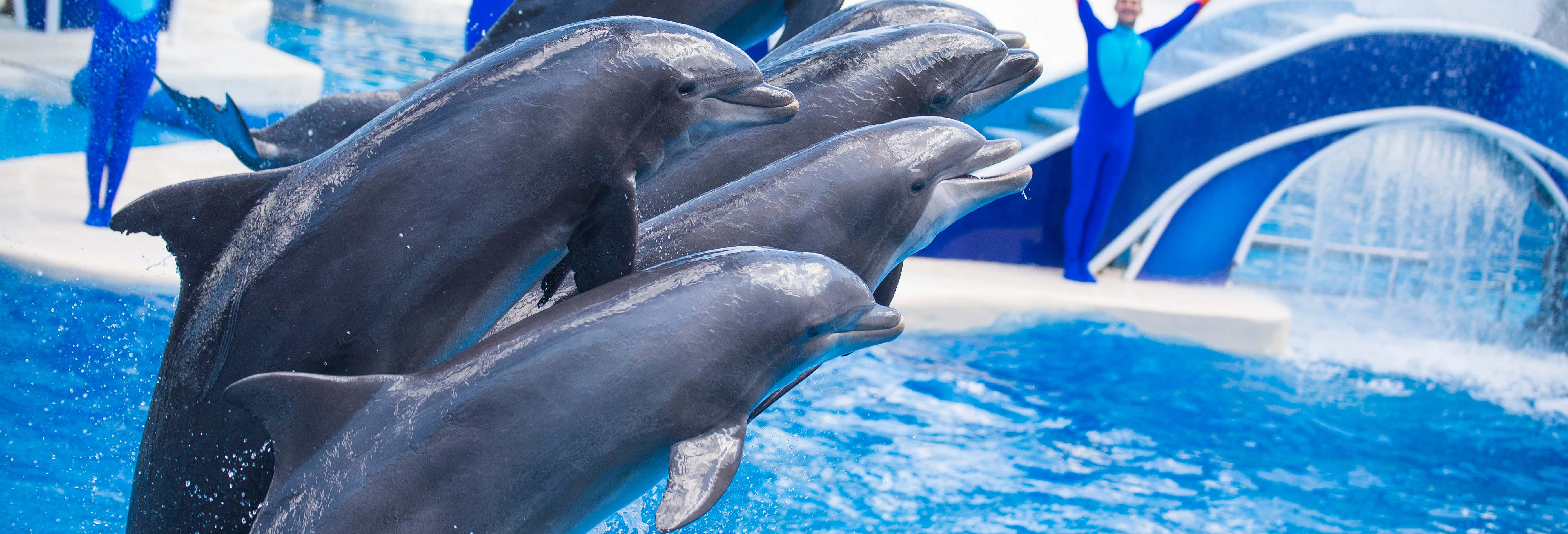 Entradas en San Diego