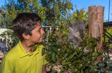 Biglietti per lo Zoo di San Diego