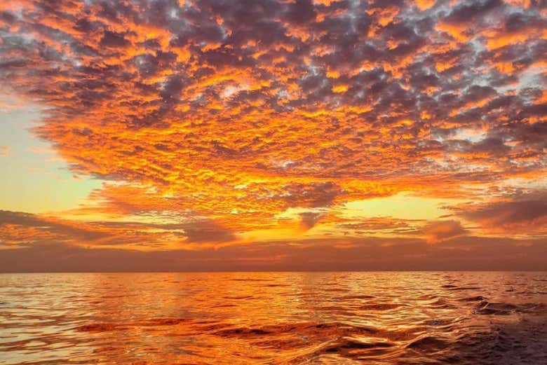 Atardecer en la costa de San Diego