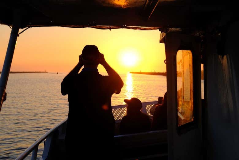 Tour de avistamiento por la tarde