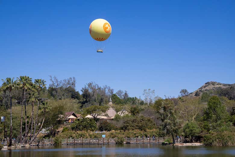 Você poderá subir em um balão