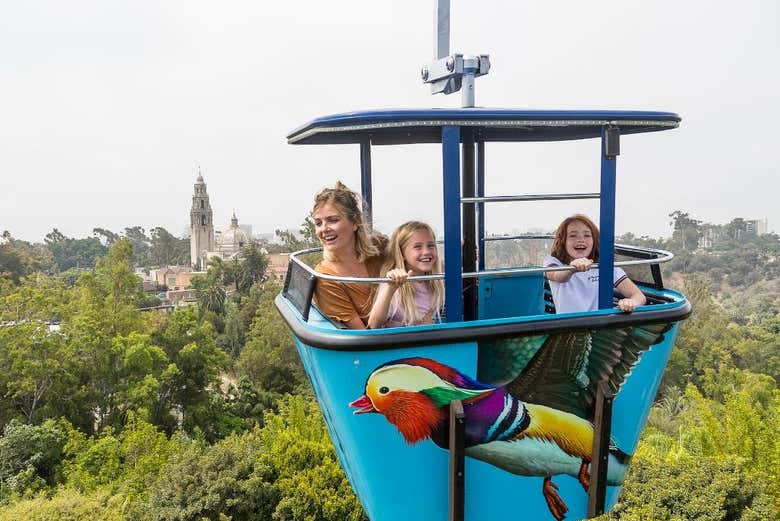 Profitez de la visite au zoo
