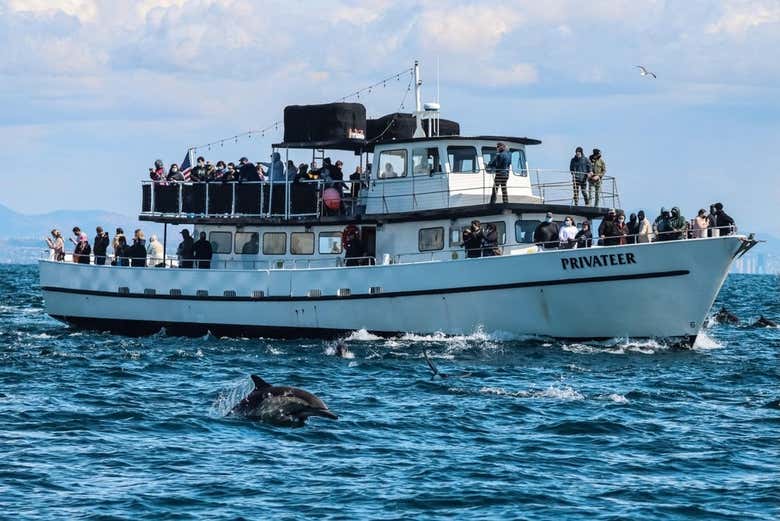 Barco que utilizaremos durante el avistamiento 