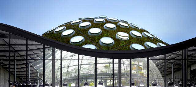California Academy of Sciences Ticket