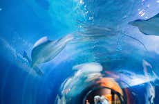 Entrada al Aquarium of the Bay