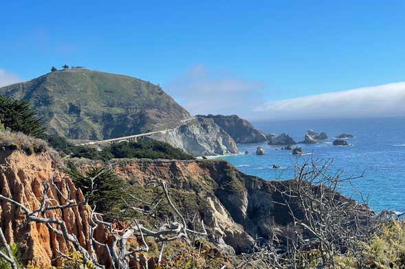 Excursión a Carmel y Monterrey