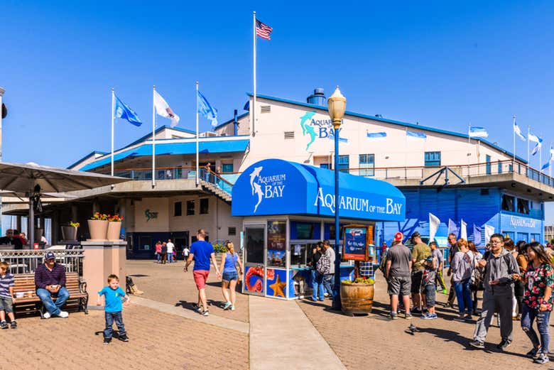 Spend a day at the port of San Francisco!
