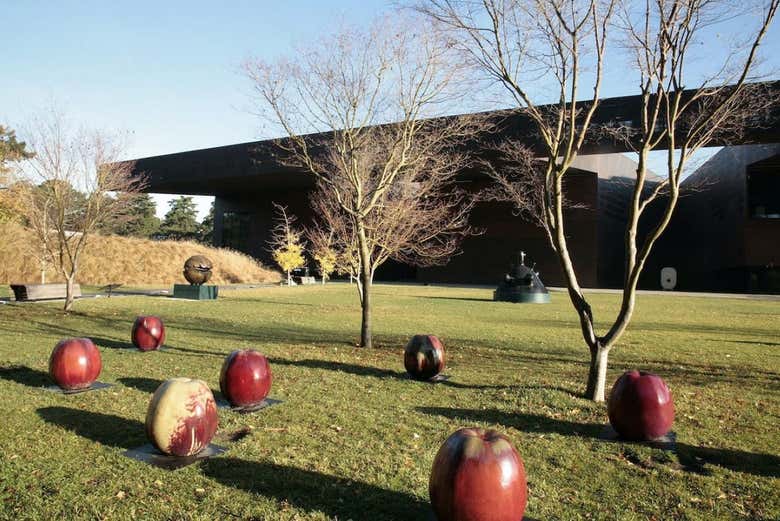 El arte que se aprecia en los espacios abiertos del museo