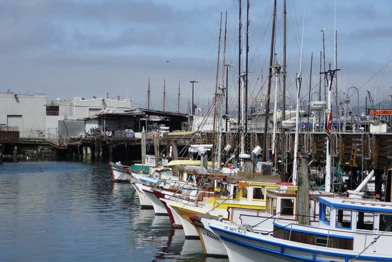 Alla scoperta dell'antico porto di San Francisco