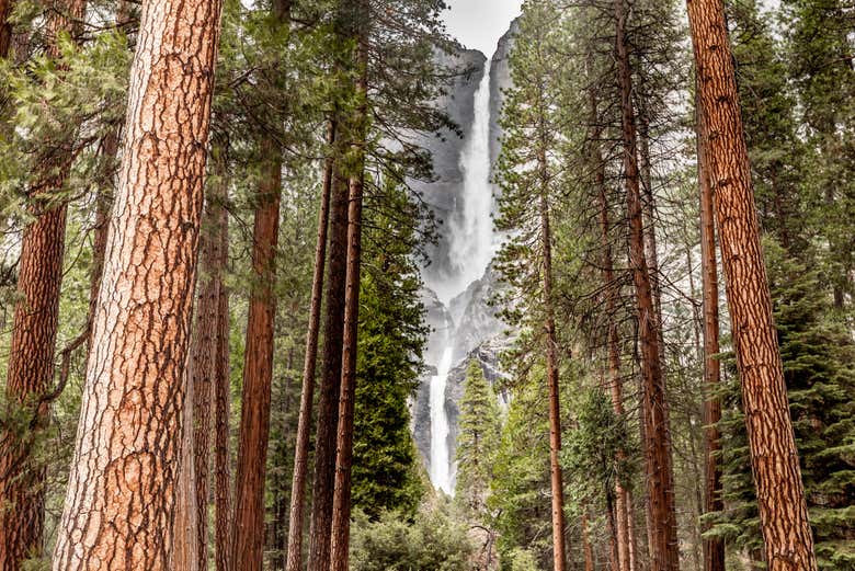 Admirando las cascadas del Parque Nacional de Yosemite
