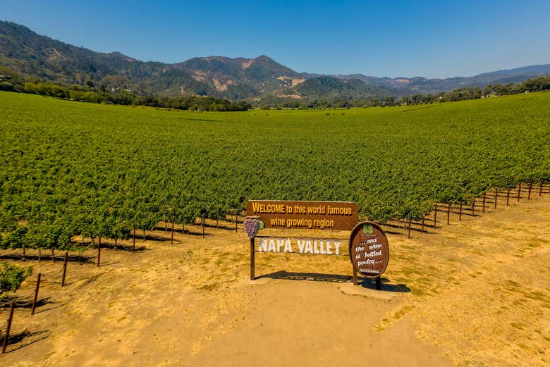 ¡Bienvenidos al valle vinícola de Napa!