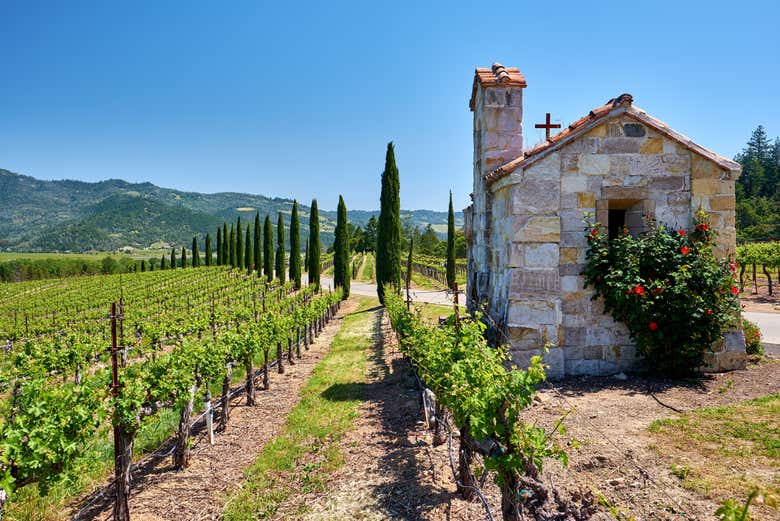 Paisajes de los viñedos de Napa