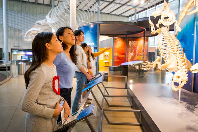 Magnificent Marine Mammals exhibit