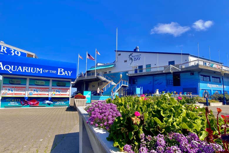 El Aquarium of the Bay se ubica en el puerto de San Francisco