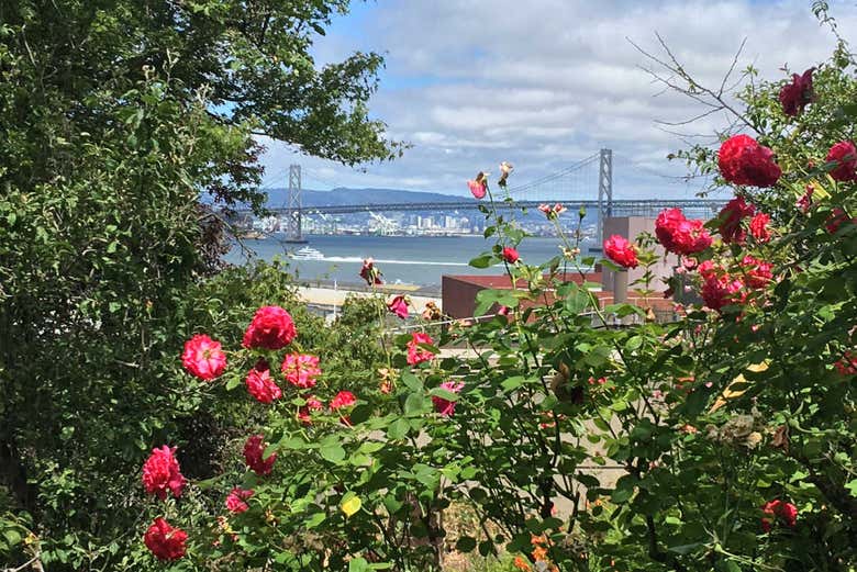 Vue sur le pont du Golden Gate