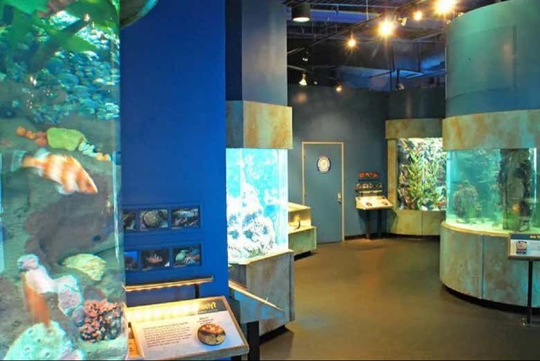 Learn fun facts about the sea