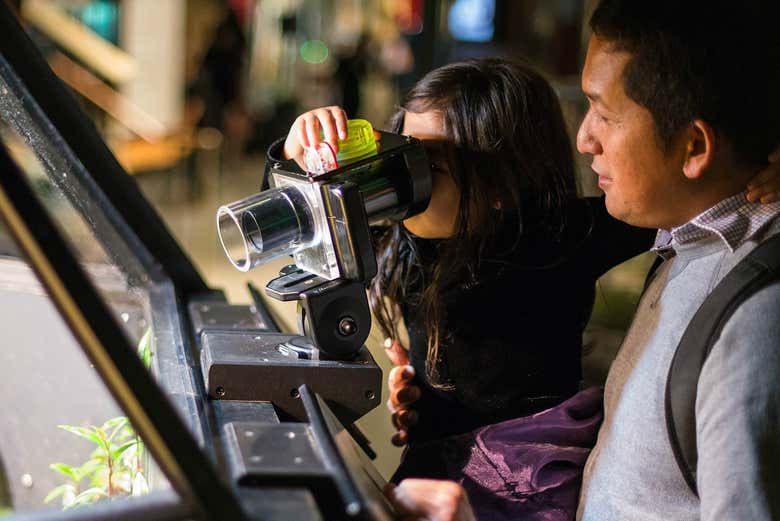 Aprendiendo en familia