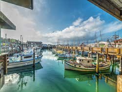 Barcos en Fishermans Wharf