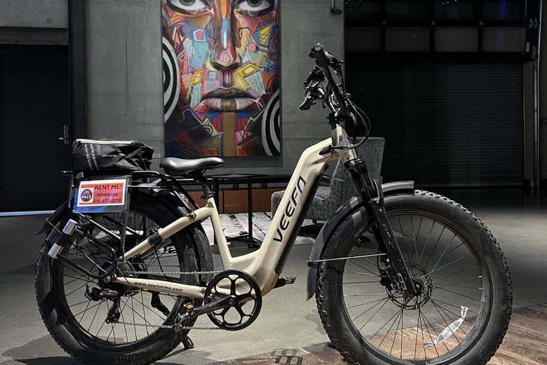 La bici elettrica pronta per il tour