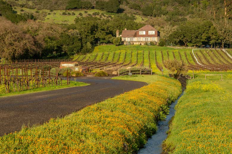 Paisajes vinícolas del valle de Sonoma