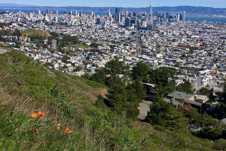 Vue sur San Francisco depuis le Dolores Park