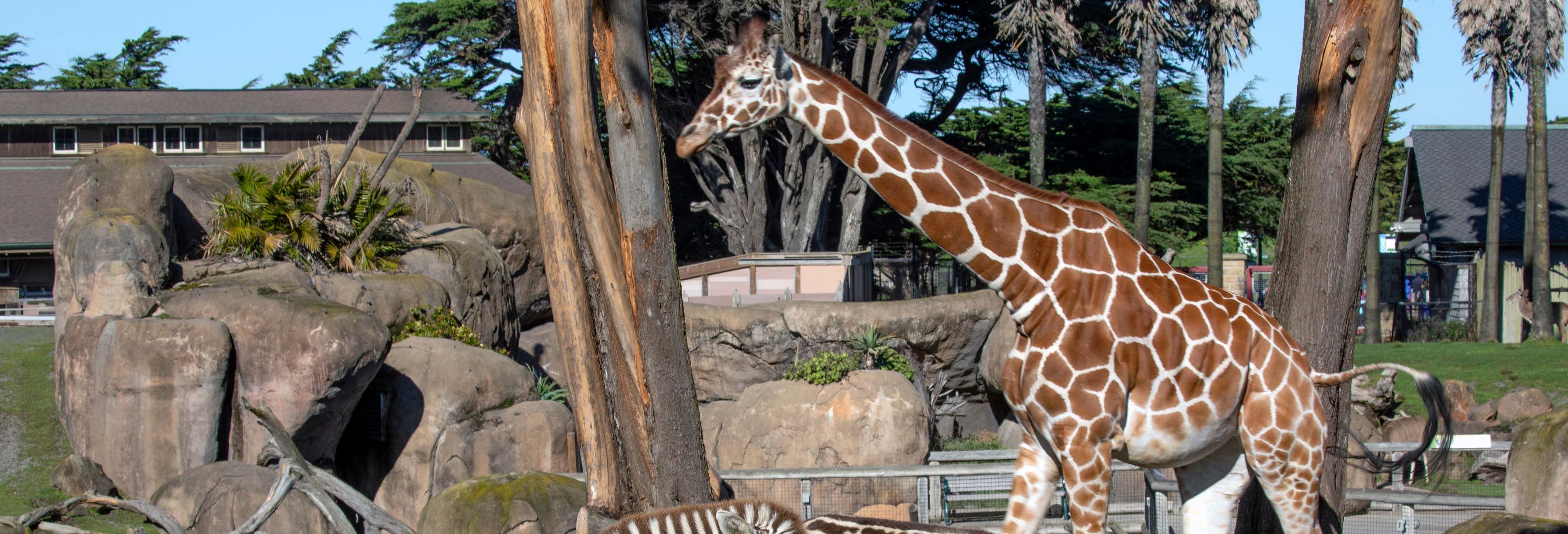 Tarjetas turísticas en San Francisco