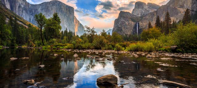 Yosemite & Giant Sequoias Day Trip