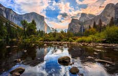 Yosemite & Giant Sequoias Day Trip