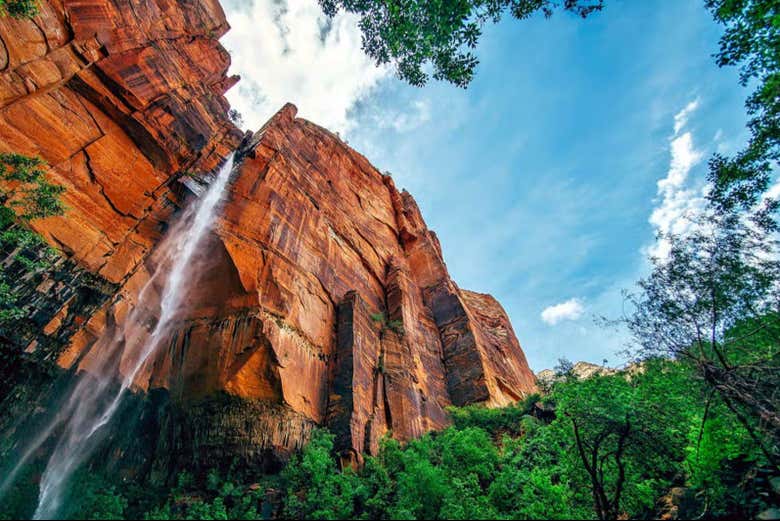 Connect with wilderness in its purest form