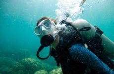 San Juan Diving Experience
