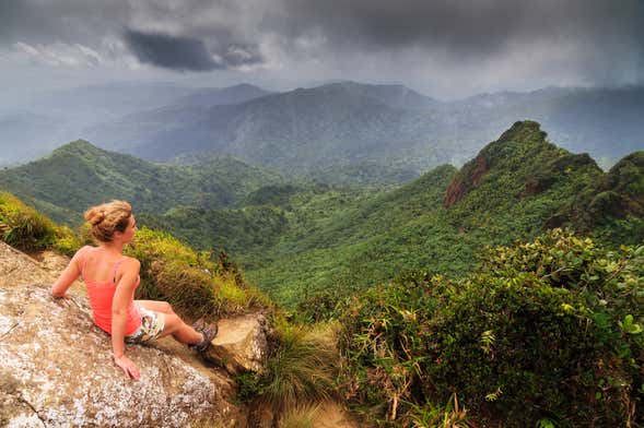 Bosque Nacional El Yunque + Bahías bioluminiscentes