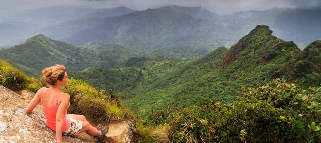 Bosque Nacional El Yunque + Bahías bioluminiscentes