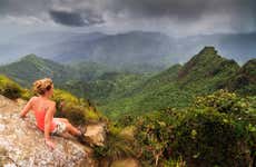 El Yunque Forest + Bioluminescent Bays Tour