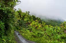 Excursión al Bosque Nacional El Yunque + Paseo en buggy por la playa Piñones