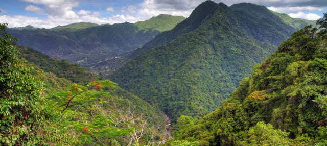 Excursión al Bosque Nacional El Yunque