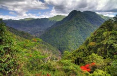 Excursión al Bosque Nacional El Yunque