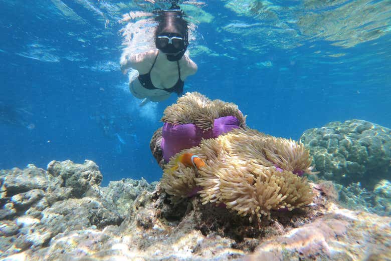 Snorkel em San Juan