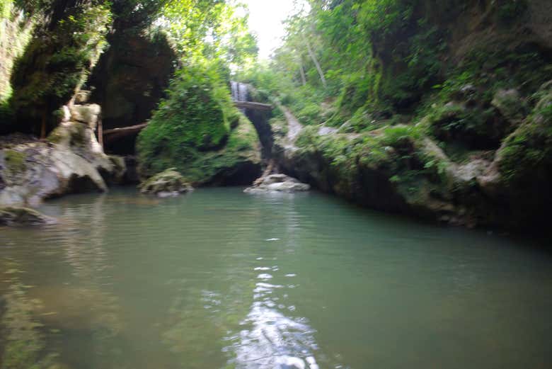 Immerse yourself in Puerto Rican nature