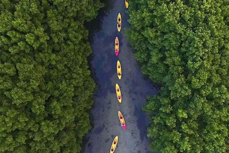 En kayak por las bahías bioluminiscentes