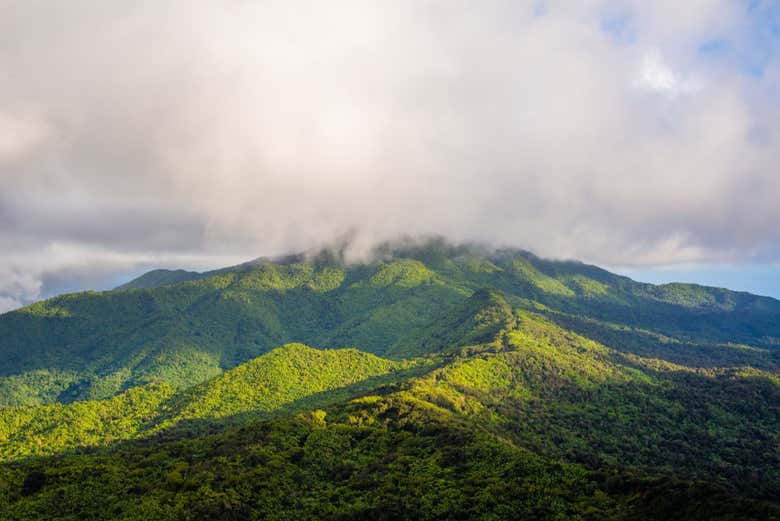 El Yunque National Forest