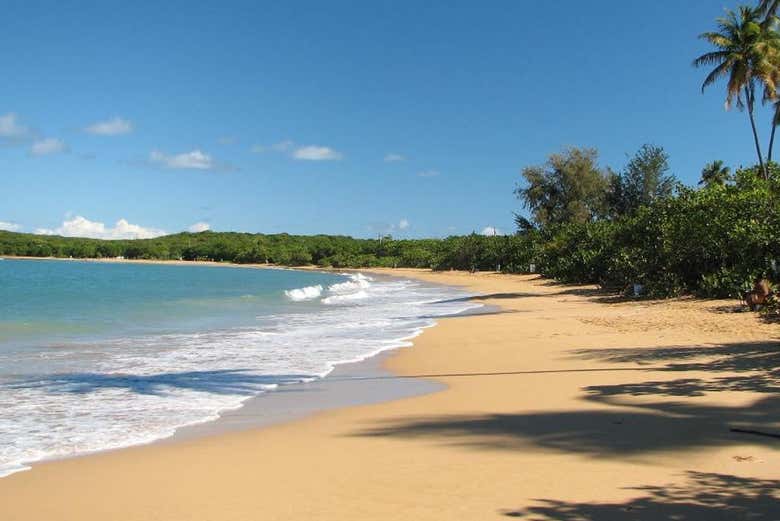 Excursion à Loíza et à la plage Vacía Talega depuis San Juan