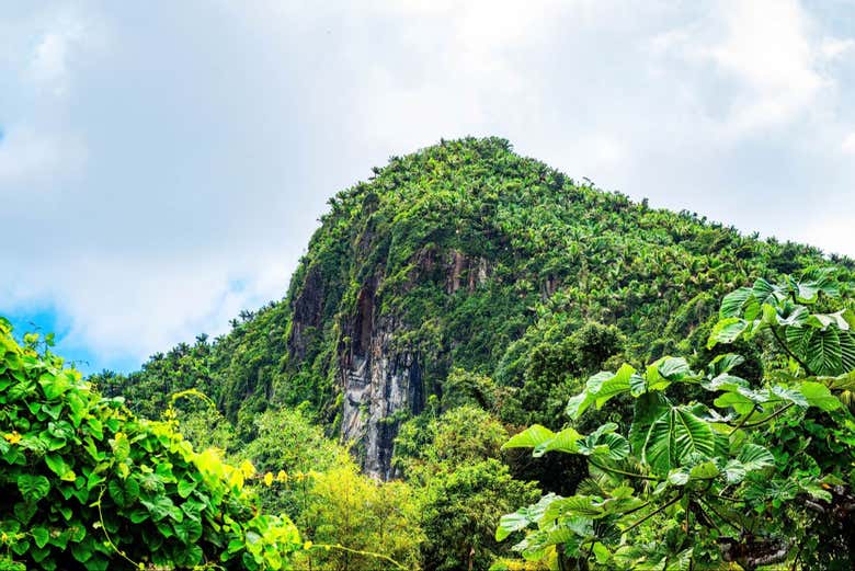 Take in stunning views
