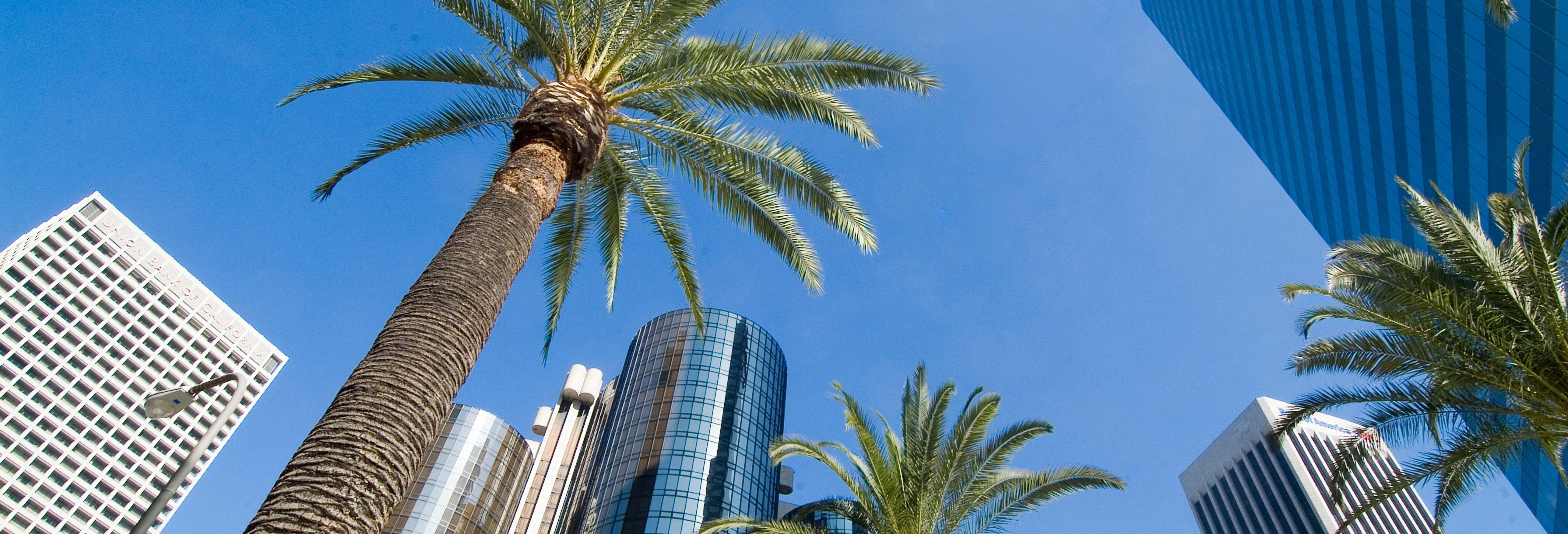 Excursiones de un día en Santa Mónica