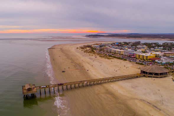 Escursione a Tybee Island + Avvistamento di delfini