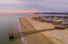 Excursão a Tybee Island + Avistamento de golfinhos