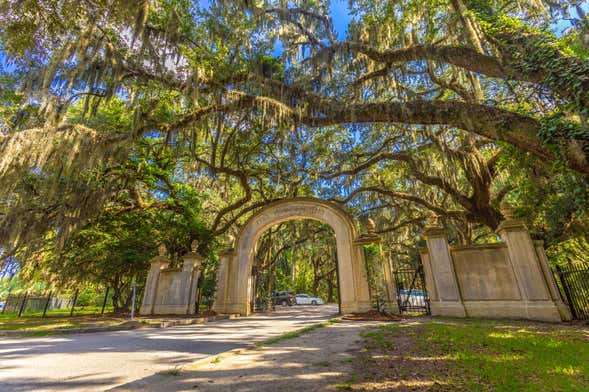 Excursión a Wormsloe y cementerio Bonaventure